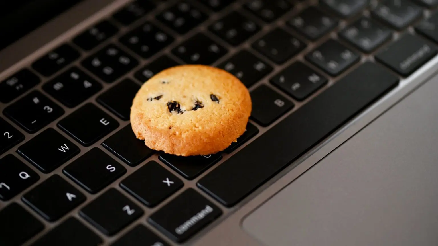 How to Disable Cookies